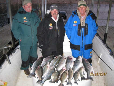 Nice Striped Bass